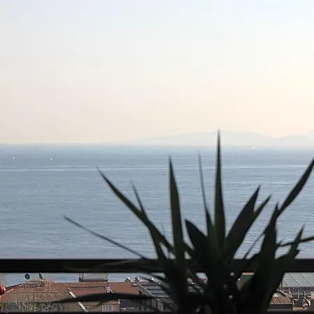 Otel Nayla Palace İstanbul